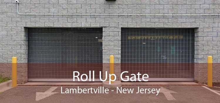 Roll Up Gate Lambertville - New Jersey