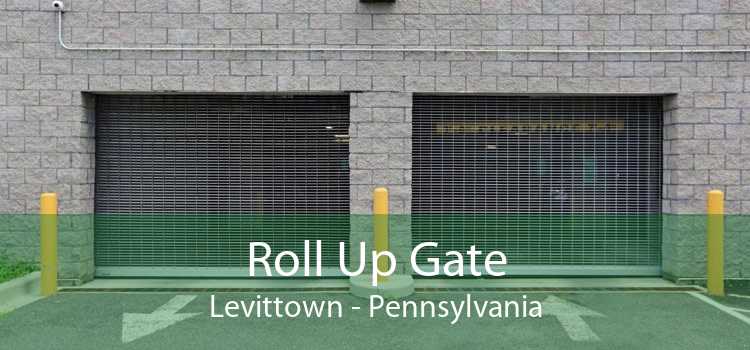 Roll Up Gate Levittown - Pennsylvania