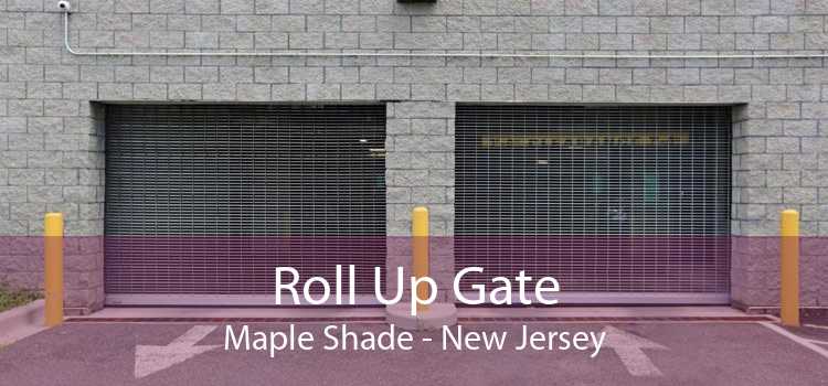Roll Up Gate Maple Shade - New Jersey