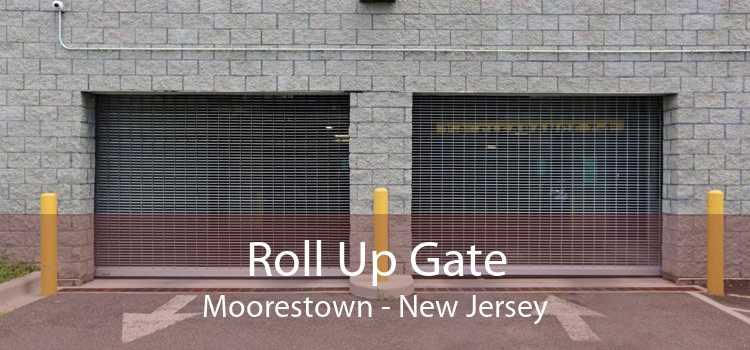 Roll Up Gate Moorestown - New Jersey