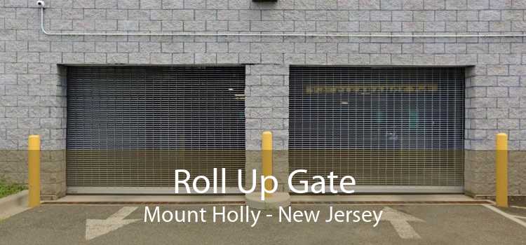 Roll Up Gate Mount Holly - New Jersey