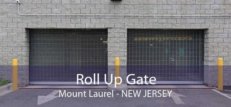Roll Up Gate Mount Laurel - New Jersey