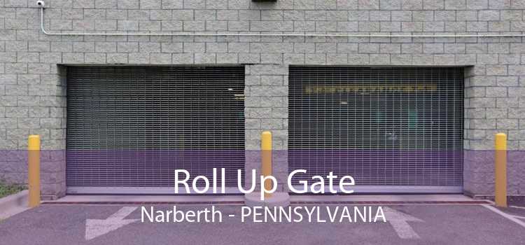 Roll Up Gate Narberth - Pennsylvania