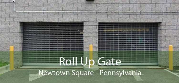 Roll Up Gate Newtown Square - Pennsylvania