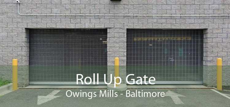 Roll Up Gate Owings Mills - Baltimore
