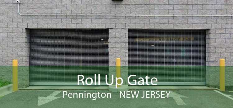 Roll Up Gate Pennington - New Jersey