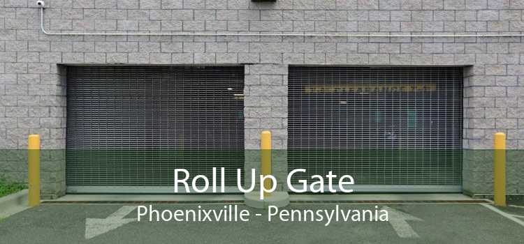 Roll Up Gate Phoenixville - Pennsylvania