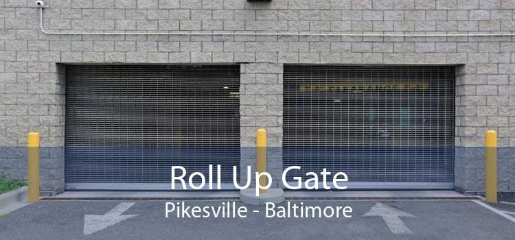 Roll Up Gate Pikesville - Baltimore