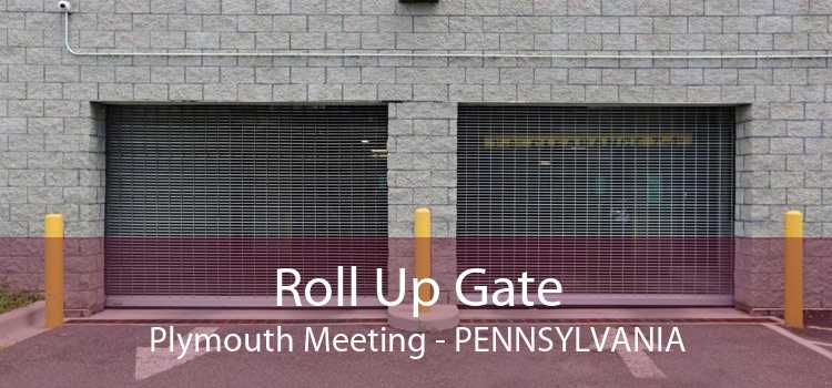 Roll Up Gate Plymouth Meeting - Pennsylvania