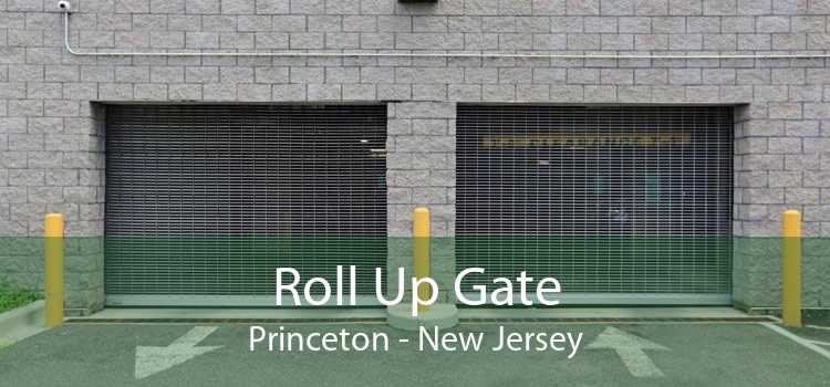 Roll Up Gate Princeton - New Jersey