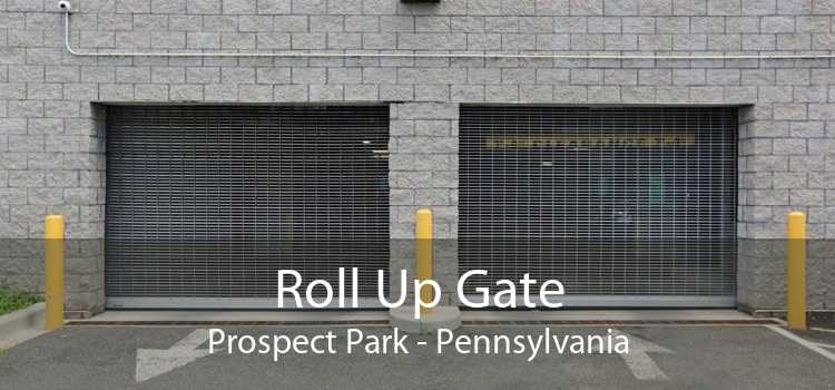 Roll Up Gate Prospect Park - Pennsylvania