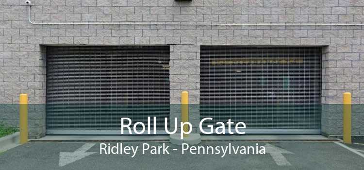 Roll Up Gate Ridley Park - Pennsylvania