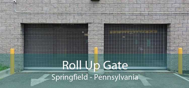 Roll Up Gate Springfield - Pennsylvania
