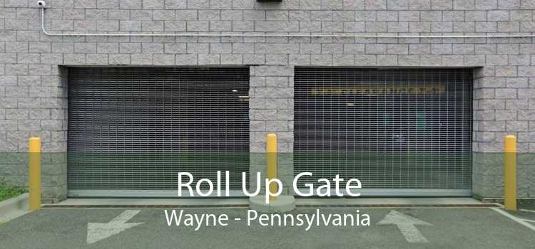 Roll Up Gate Wayne - Pennsylvania