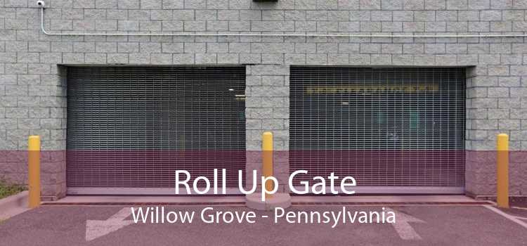 Roll Up Gate Willow Grove - Pennsylvania