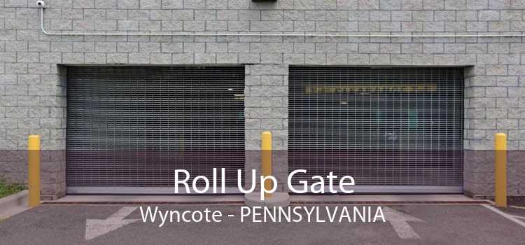Roll Up Gate Wyncote - Pennsylvania
