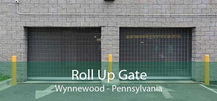 Roll Up Gate Wynnewood - Pennsylvania