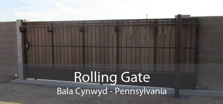 Rolling Gate Bala Cynwyd - Pennsylvania