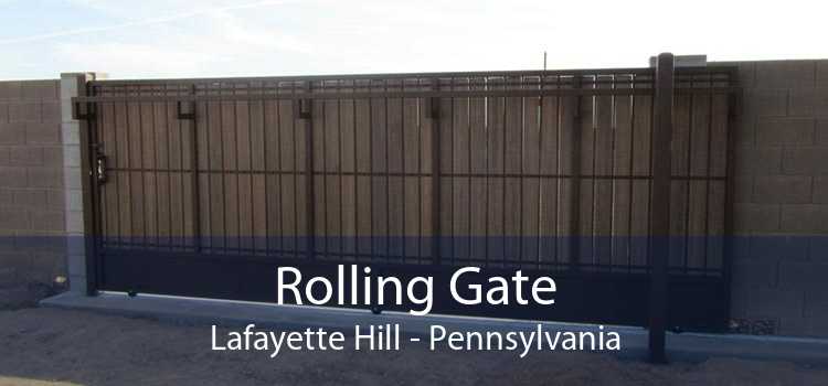 Rolling Gate Lafayette Hill - Pennsylvania