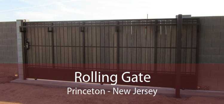 Rolling Gate Princeton - New Jersey