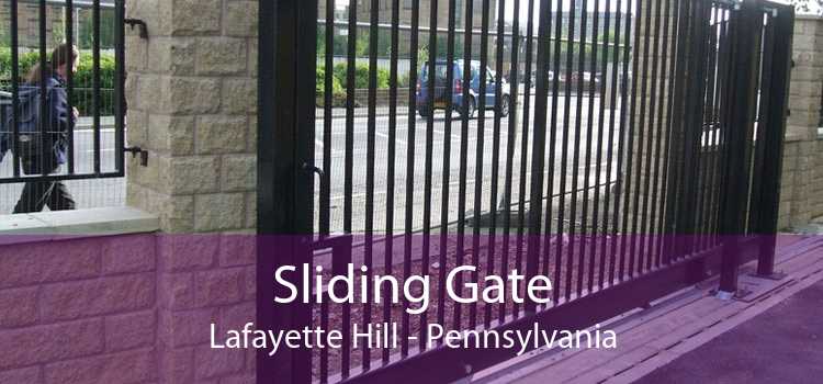 Sliding Gate Lafayette Hill - Pennsylvania