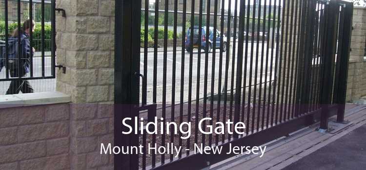 Sliding Gate Mount Holly - New Jersey