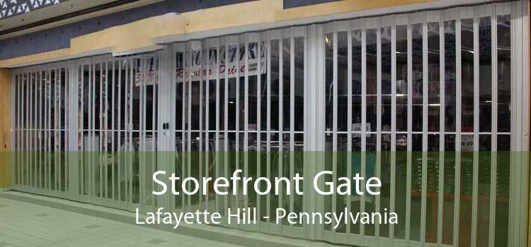 Storefront Gate Lafayette Hill - Pennsylvania