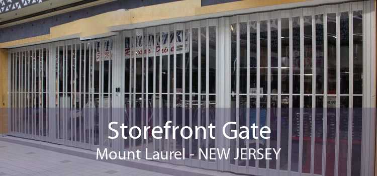 Storefront Gate Mount Laurel - New Jersey