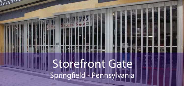 Storefront Gate Springfield - Pennsylvania