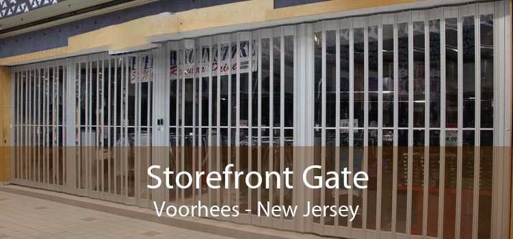 Storefront Gate Voorhees - New Jersey