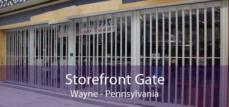 Storefront Gate Wayne - Pennsylvania