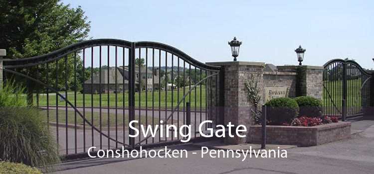 Swing Gate Conshohocken - Pennsylvania
